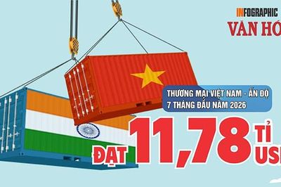 Việt Nam xuất siêu hơn 2,17 tỉ USD sang Ấn Độ sau 7 tháng