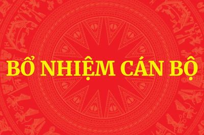 Bổ nhiệm Trợ lý Phó Thủ tướng Chính phủ Hồ Quốc Dũng