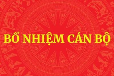Hướng dẫn thủ tục bổ nhiệm chức vụ lãnh đạo, quản lý đối với công chức, viên chức
