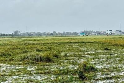 Xây dựng chiến lược ứng phó bền vững