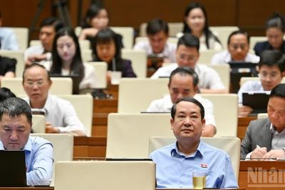 Chính sách đất đai cần đồng bộ từ thu hồi, tái định cư đến phân cấp, hậu kiểm