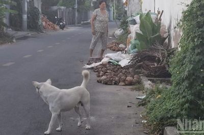 Đồng Tháp tăng cường phòng ngừa bệnh dại trên động vật