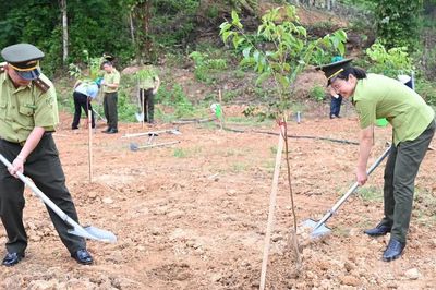 Chuyên gia: Cần coi đất là nguồn vốn tự nhiên được bảo vệ cho các thế hệ tương lai
