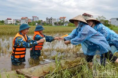 Chủ động ứng phó với bão số 4, các tỉnh thành ven biển từ Quảng Ninh đến Thanh Hóa thực hiện nghiêm Công điện của Thủ tướng