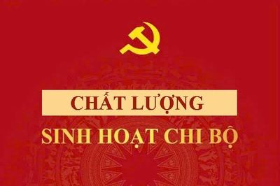 Thực hành theo gương Bác