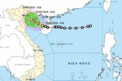 Áp thấp nhiệt đới di chuyển trên vùng biển phía Đông khu vực Bắc Vịnh Bắc Bộ, theo hướng về Hải Phòng