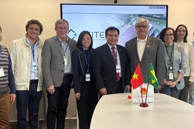 Việt Nam-Brazil thúc đẩy hợp tác đổi mới sáng tạo và chuyển đổi số