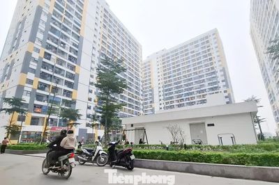 Bắc Ninh mở bán hơn 1.600 căn nhà ở xã hội, giá từ hơn 15 triệu đồng/m²