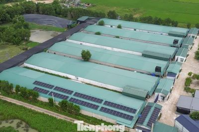 Phó Chủ tịch tỉnh Thanh Hóa chỉ đạo kiểm tra vụ trại vịt 30.000 con gây ô nhiễm