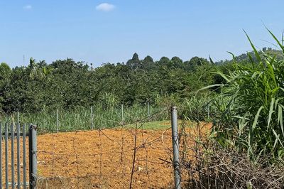 'Đánh bắt xa bờ', nhà đầu tư Hà Nội mắc kẹt với mảnh đất hơn 2 tỷ đồng