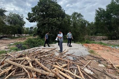Thanh tra chỉ ra hàng loạt sai phạm, buông lỏng quản lý đất rừng ở Phú Quốc