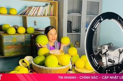 Mở rộng thị trường bưởi Phúc Trạch qua nền tảng số