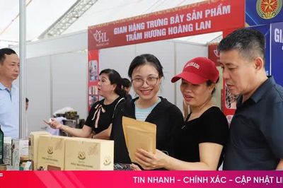 Hơn 300 gian hàng đã 'lên kệ' hội chợ sản phẩm công nghiệp nông thôn miền Trung - Tây Nguyên