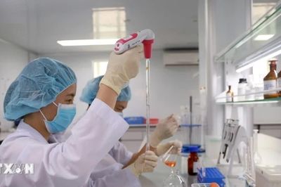 Khánh Hòa: Tạo mạng lưới chuyên gia, nhà khoa học làm động lực phát triển mới