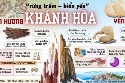 Khánh Hòa - miền đất được mệnh danh là 'rừng trầm - biển yến'