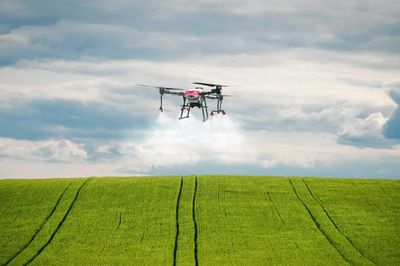 EU xem xét cho phép dùng drone phun thuốc trừ sâu