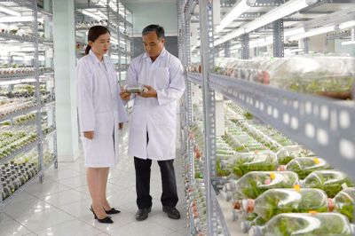 TP Hồ Chí Minh chuyển từ thu hút nhân tài sang trọng dụng nhân tài