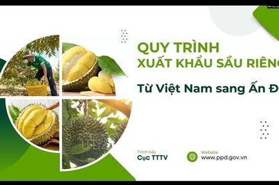 Việt Nam - Ấn Độ nỗ lực mở rộng dư địa thương mại nông sản