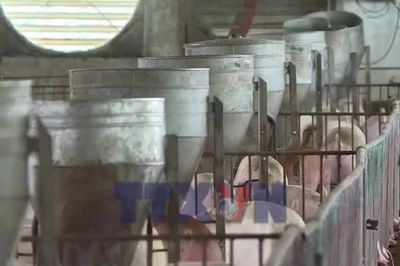 Siết phòng dịch, đảm bảo nguồn cung thực phẩm cuối năm