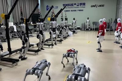 Cổ phiếu “robot hình người số 1" Unitree bốc hơi hơn 160 tỷ NDT sau hai phiên