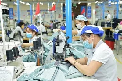 Thời điểm làm sạch doanh nghiệp "ma", doanh nghiệp "ngủ đông"
