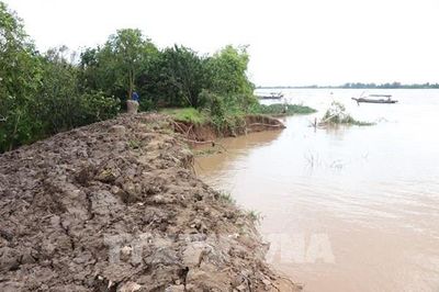 Sắp cao điểm triều cường ngập sâu: Vĩnh Long ứng phó ra sao?