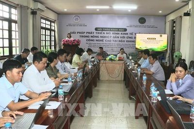 Biến rơm rạ, phụ phẩm thành tiền: Bối cảnh mới cho nông nghiệp