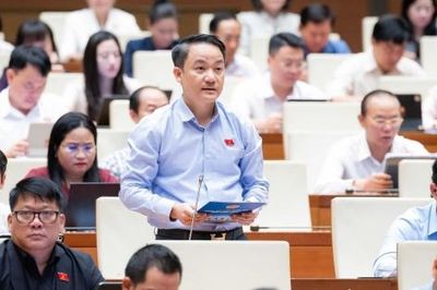 Đại biểu đề xuất truy được dấu vết trách nhiệm trong dữ liệu đất đai