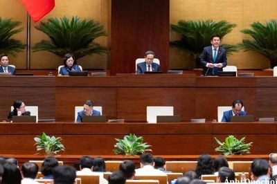 Sửa đổi Luật Đất đai: Lấy hiệu quả sử dụng đất làm thước đo chính sách