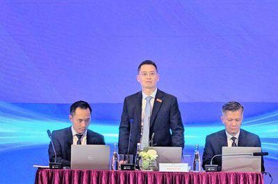 EVF muốn phát hành riêng lẻ 85 triệu cp, CEO Lê Mạnh Linh tiết lộ đã đàm phán có kết quả với 3 NĐT nước ngoài