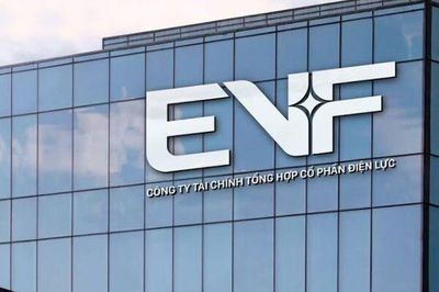 Lãnh đạo EVF: Năm 2026 có thể hoàn thành vượt kế hoạch lợi nhuận 1.325 tỷ