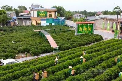 OCOP gắn với du lịch: Dư địa lớn, yêu cầu chuẩn hóa cao
