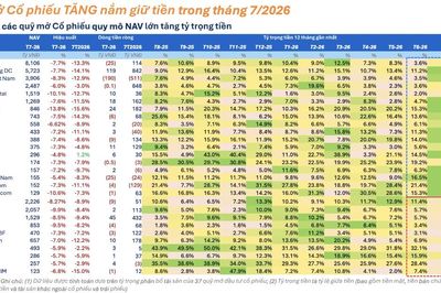 Lý do thị trường cạn thanh khoản: 25 'cá mập' gia tăng 'ôm' tiền mặt phòng thủ