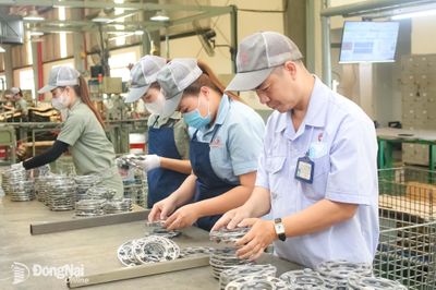 Nhân lên những tấm gương lao động giỏi