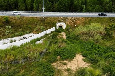 Ruộng lúa bị bồi lấp do thi công cao tốc: Người dân thôn Trung Sơn chờ bồi thường
