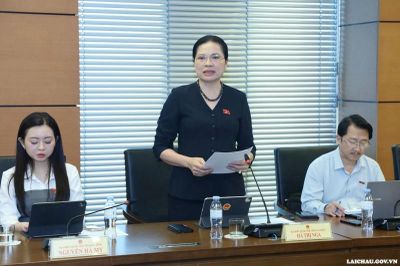 Đoàn đại biểu Quốc hội tỉnh Lai Châu tích cực tham gia, đóng góp ý kiến tại Kỳ họp không thường lệ thứ Nhất