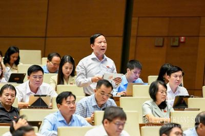 Đại biểu Quốc hội tỉnh góp ý về định hướng chính sách sửa đổi một số luật