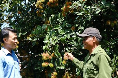 Cát Tiên 3 tạo đà từ 4 chương trình trọng tâm, 3 công trình trọng điểm
