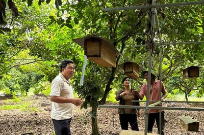 Nghề nuôi ong mở hướng sinh kế xanh ở Lâm Đồng