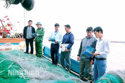 Siết chặt kiểm tra, xử lý tàu cá khai thác sai vùng