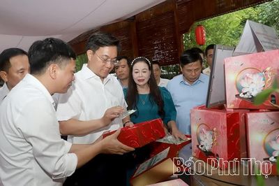 Phát triển nông nghiệp quy mô lớn, công nghệ cao gắn với sinh thái, chế biến sâu và du lịch trải nghiệm