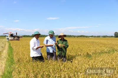 Sức bật mới ở Lam Thủy