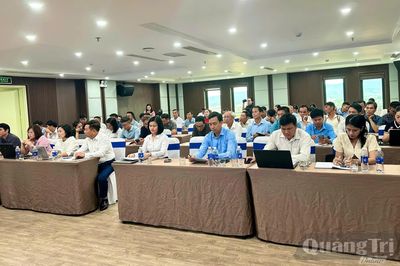 Nâng cao năng lực đáp ứng quy định EUDR đối với ngành hàng cà phê, cao su