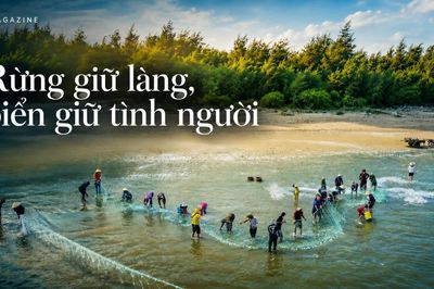 Rừng giữ làng, biển giữ tình người
