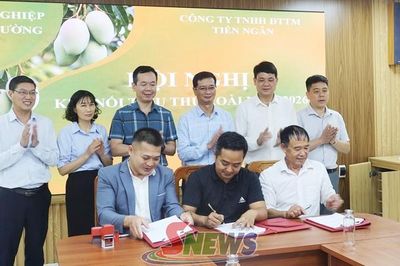 Logistics - động lực bứt phá cho chuỗi giá trị nông sản