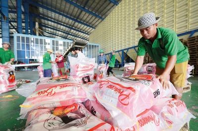 Giá gạo xuất khẩu tăng trước áp lực cung và thời tiết