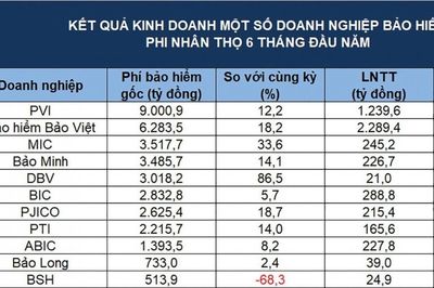Phí bảo hiểm gốc tăng tốc mùa bán niên, lợi nhuận phân hóa mạnh