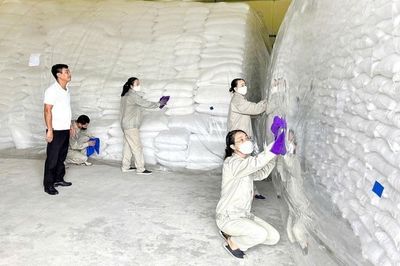 Cục Dự trữ Nhà nước ban hành công điện chủ động ứng phó với áp thấp nhiệt đới