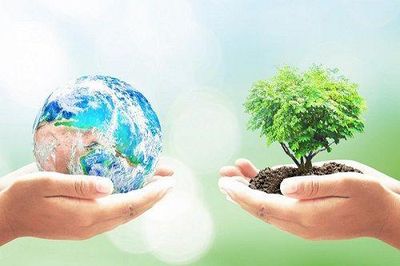 Lạng Sơn dành gần 13,9 tỷ đồng cho vay ưu đãi các dự án bảo vệ môi trường