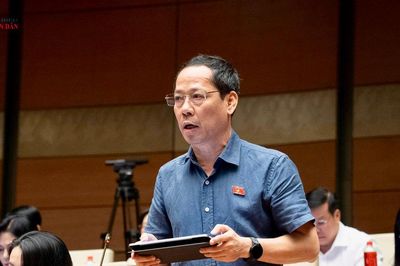 Đề xuất thiết kế một điều riêng về thu hồi đất đối với dự án không sử dụng hoặc chậm sử dụng đất